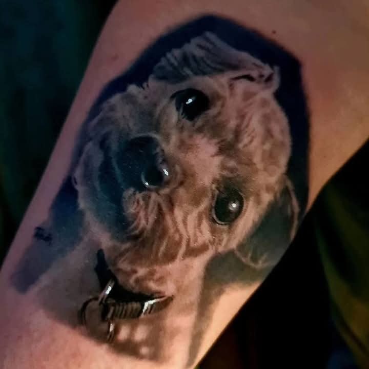 Retrato de mascota por Thian